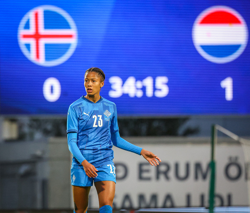 Myndaveisla 1: Holland vann Ísland á Laugardalsvelli