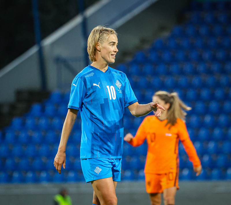 Myndaveisla 1: Holland vann Ísland á Laugardalsvelli