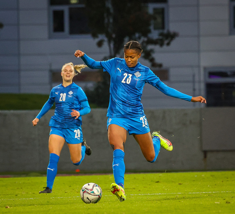 Myndaveisla 1: Holland vann Ísland á Laugardalsvelli