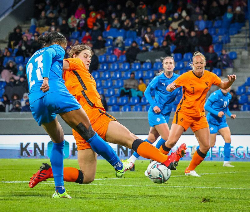 Myndaveisla 1: Holland vann Ísland á Laugardalsvelli