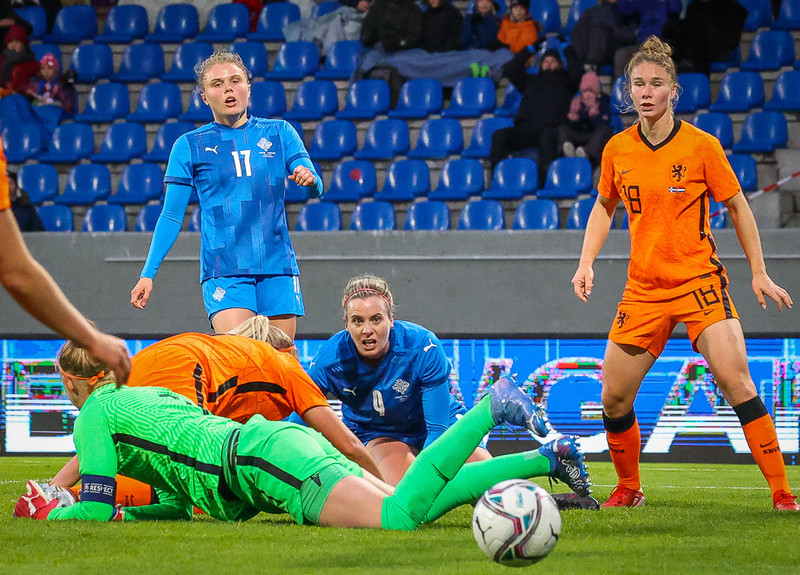 Myndaveisla 1: Holland vann Ísland á Laugardalsvelli