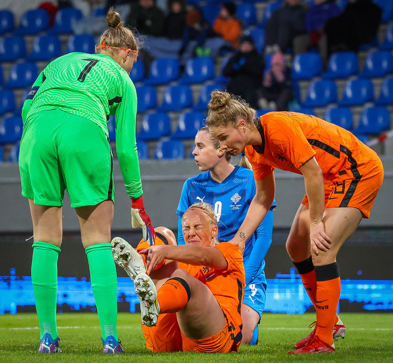 Myndaveisla 1: Holland vann Ísland á Laugardalsvelli
