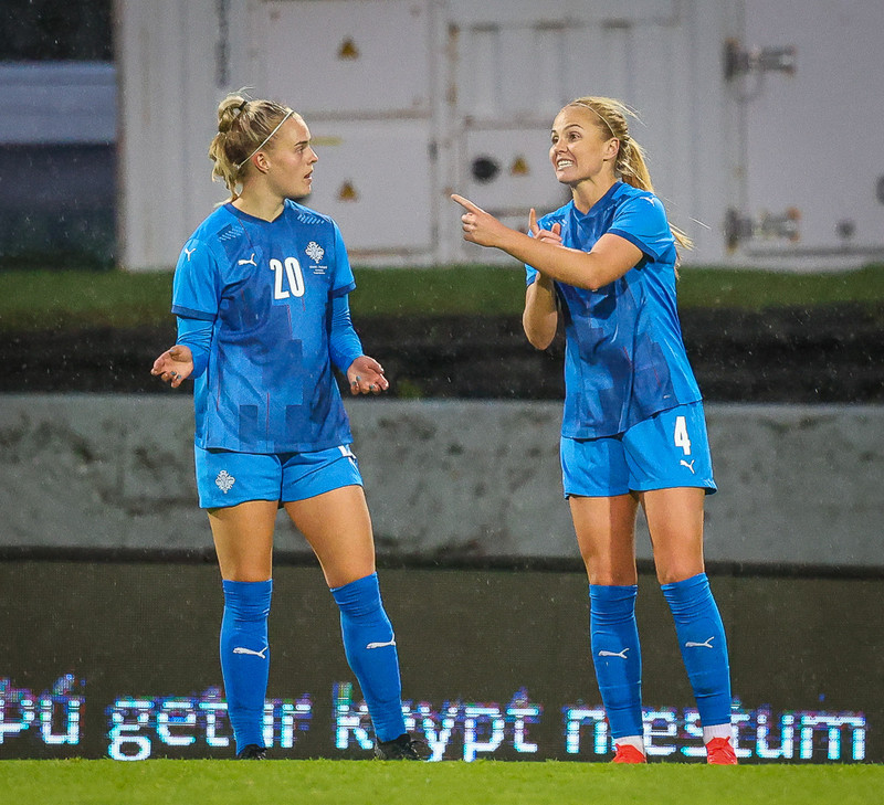 Myndaveisla 1: Holland vann Ísland á Laugardalsvelli