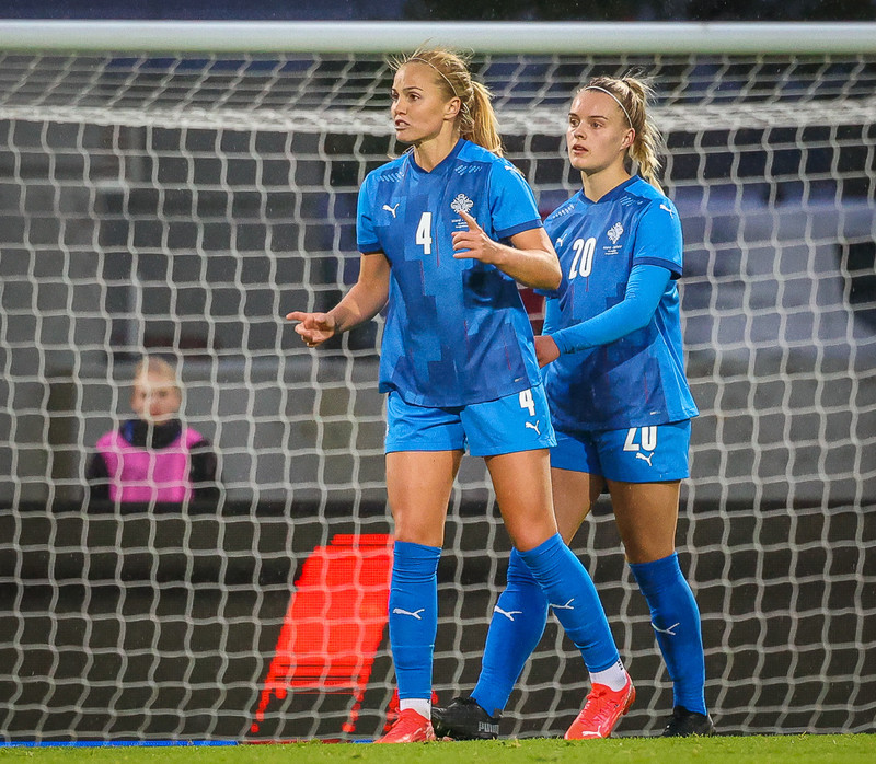 Myndaveisla 1: Holland vann Ísland á Laugardalsvelli