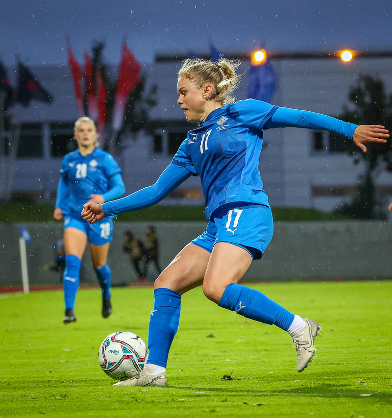 Myndaveisla 1: Holland vann Ísland á Laugardalsvelli