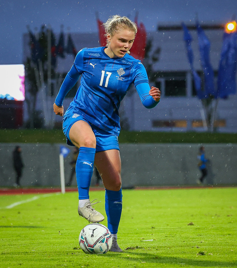 Myndaveisla 1: Holland vann Ísland á Laugardalsvelli