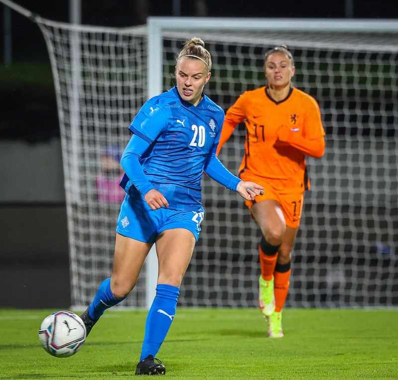 Myndaveisla 1: Holland vann Ísland á Laugardalsvelli