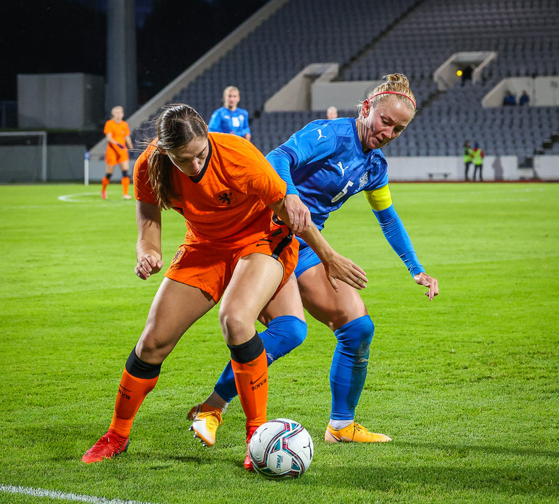 Myndaveisla 1: Holland vann Ísland á Laugardalsvelli