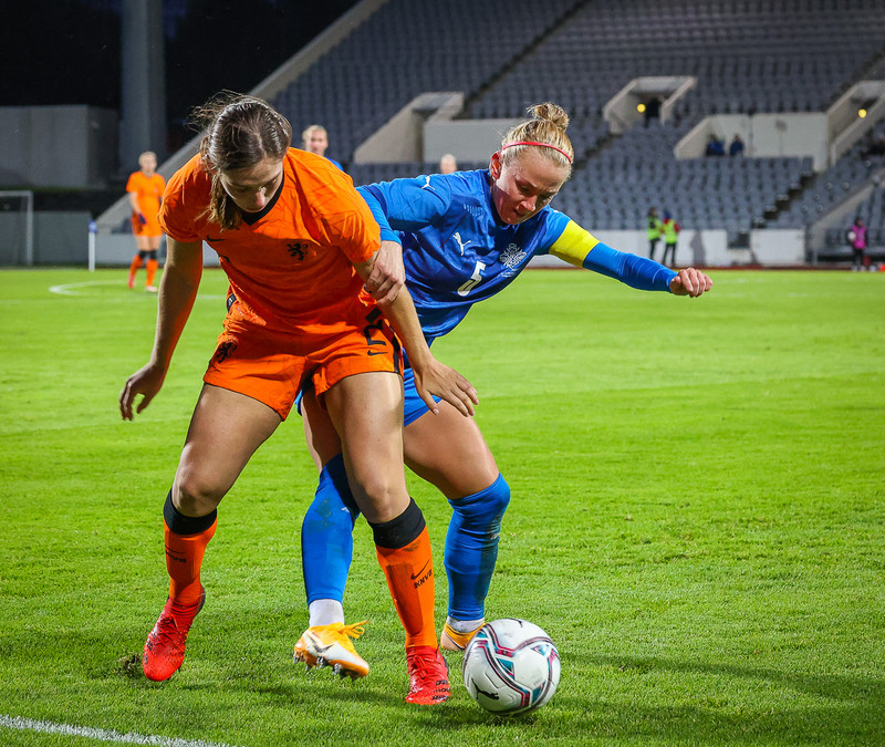 Myndaveisla 1: Holland vann Ísland á Laugardalsvelli