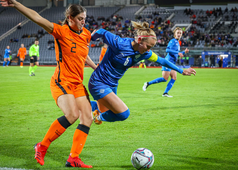 Myndaveisla 1: Holland vann Ísland á Laugardalsvelli