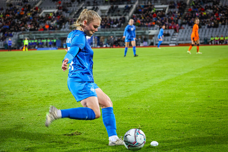Myndaveisla 1: Holland vann Ísland á Laugardalsvelli