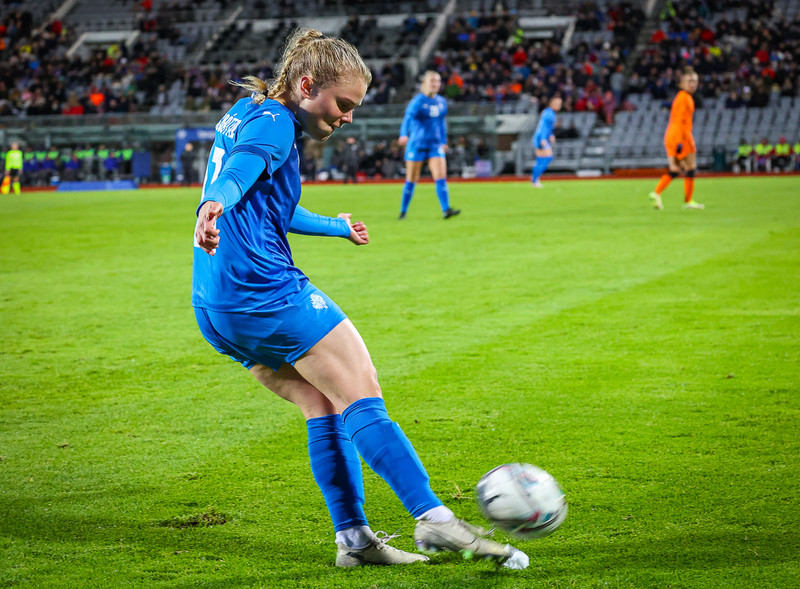 Myndaveisla 1: Holland vann Ísland á Laugardalsvelli