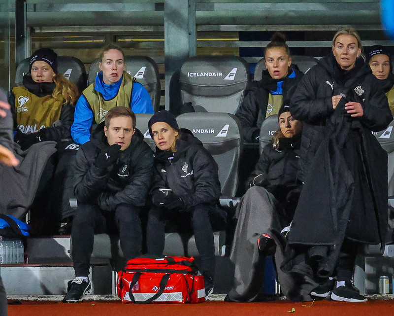 Myndaveisla 1: Holland vann Ísland á Laugardalsvelli