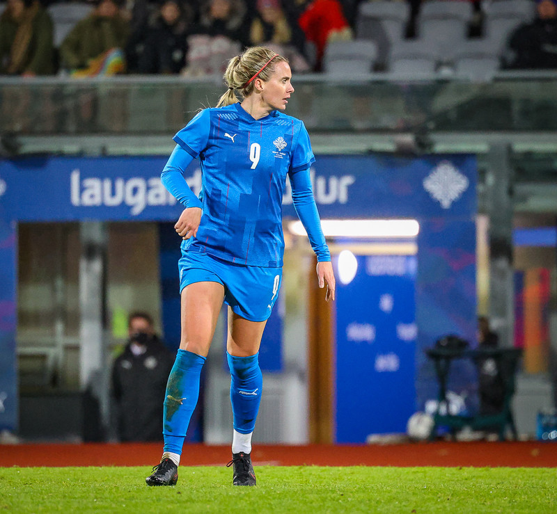 Myndaveisla 1: Holland vann Ísland á Laugardalsvelli