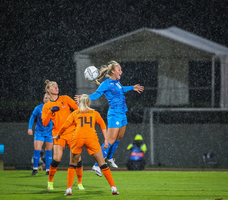 Myndaveisla 1: Holland vann Ísland á Laugardalsvelli
