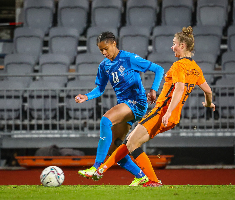 Myndaveisla 1: Holland vann Ísland á Laugardalsvelli