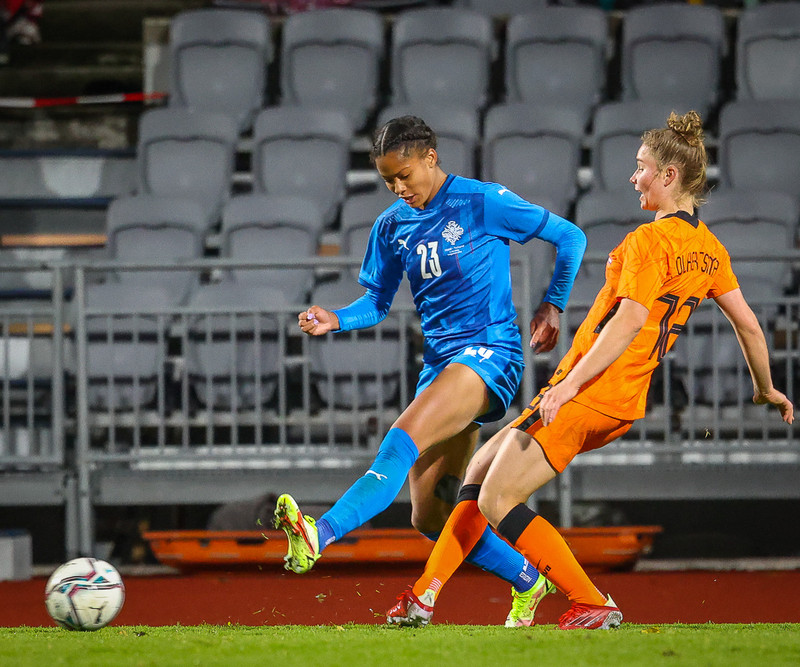 Myndaveisla 1: Holland vann Ísland á Laugardalsvelli