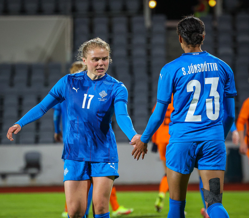 Myndaveisla 1: Holland vann Ísland á Laugardalsvelli