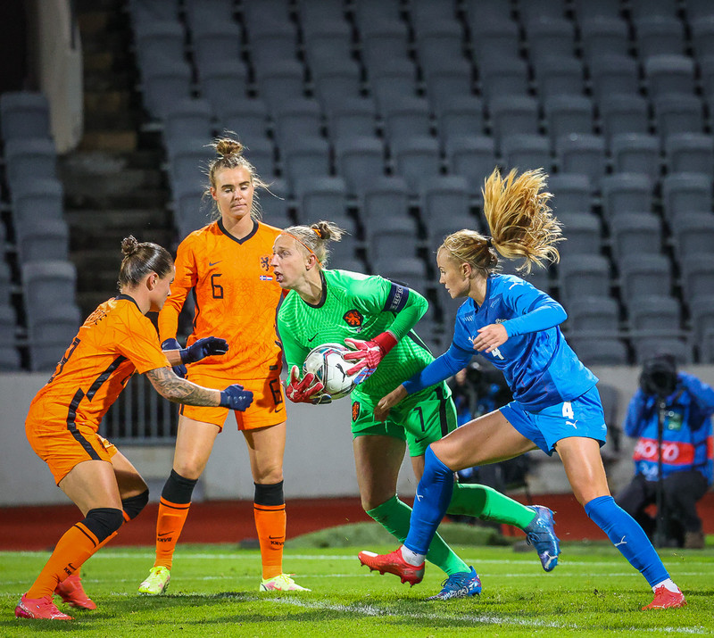 Myndaveisla 1: Holland vann Ísland á Laugardalsvelli