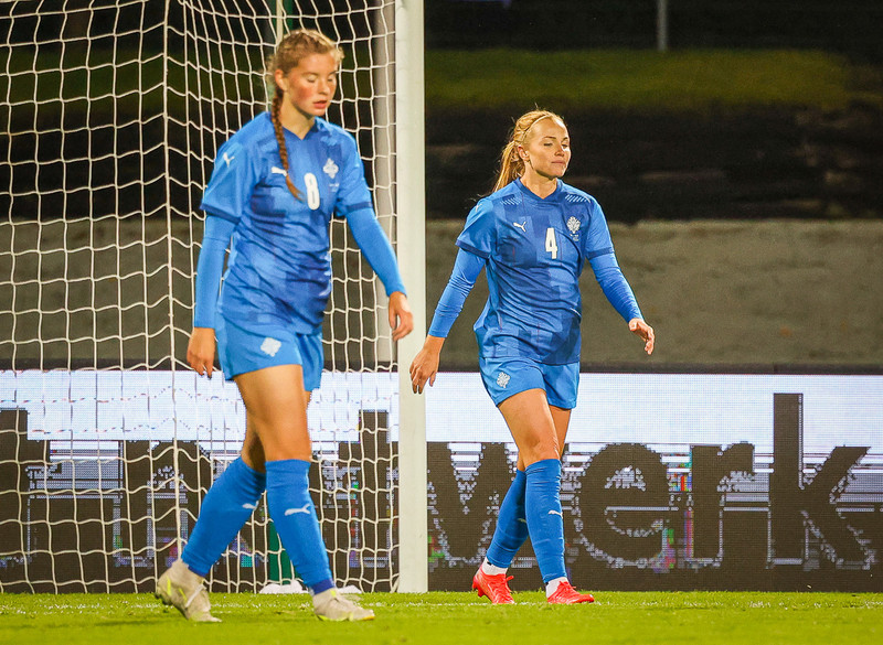 Myndaveisla 1: Holland vann Ísland á Laugardalsvelli