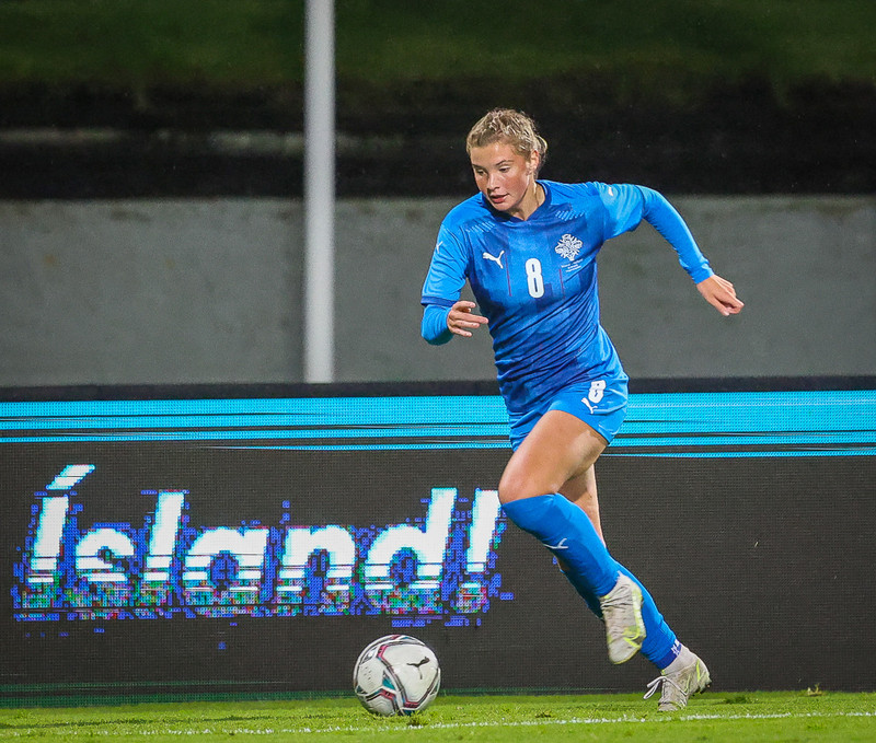 Myndaveisla 1: Holland vann Ísland á Laugardalsvelli
