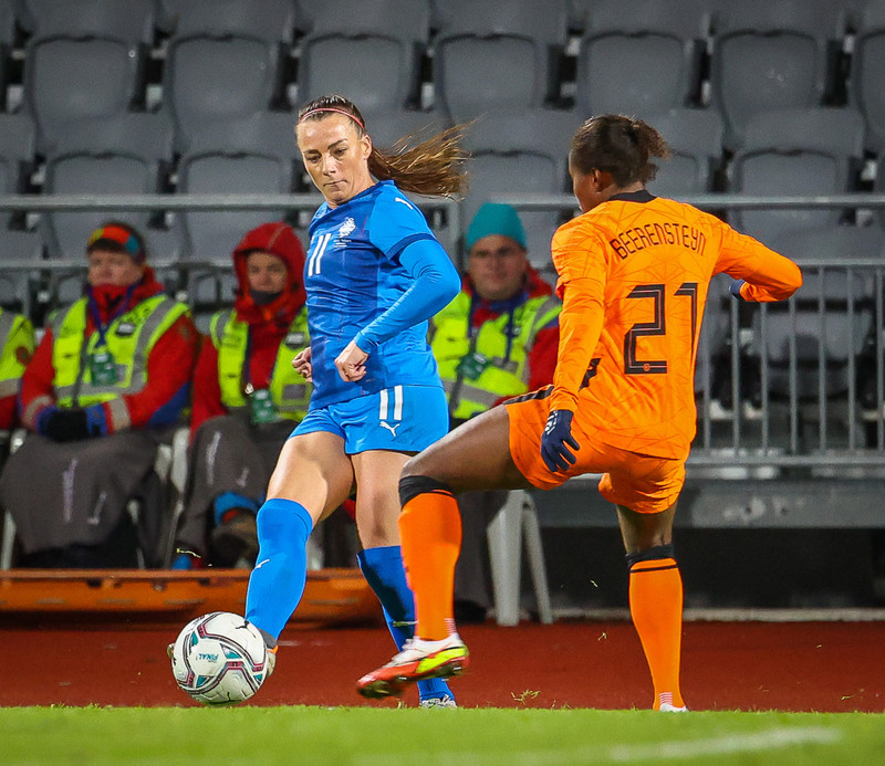 Myndaveisla 1: Holland vann Ísland á Laugardalsvelli