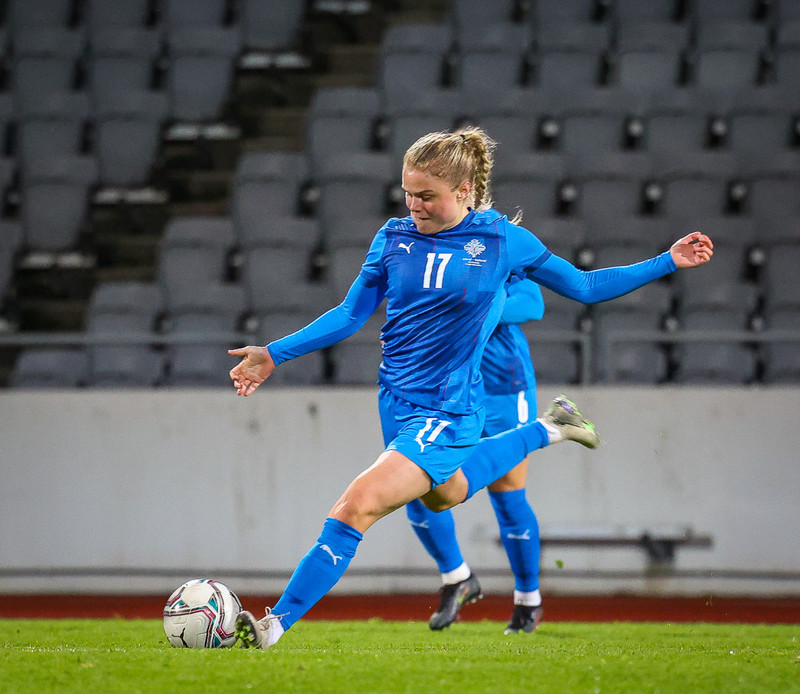Myndaveisla 1: Holland vann Ísland á Laugardalsvelli