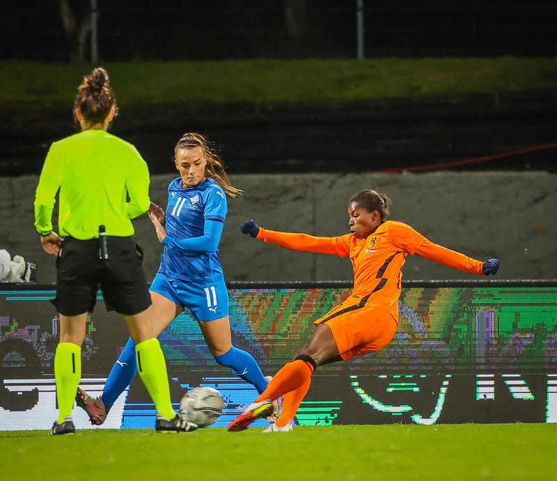 Myndaveisla 1: Holland vann Ísland á Laugardalsvelli