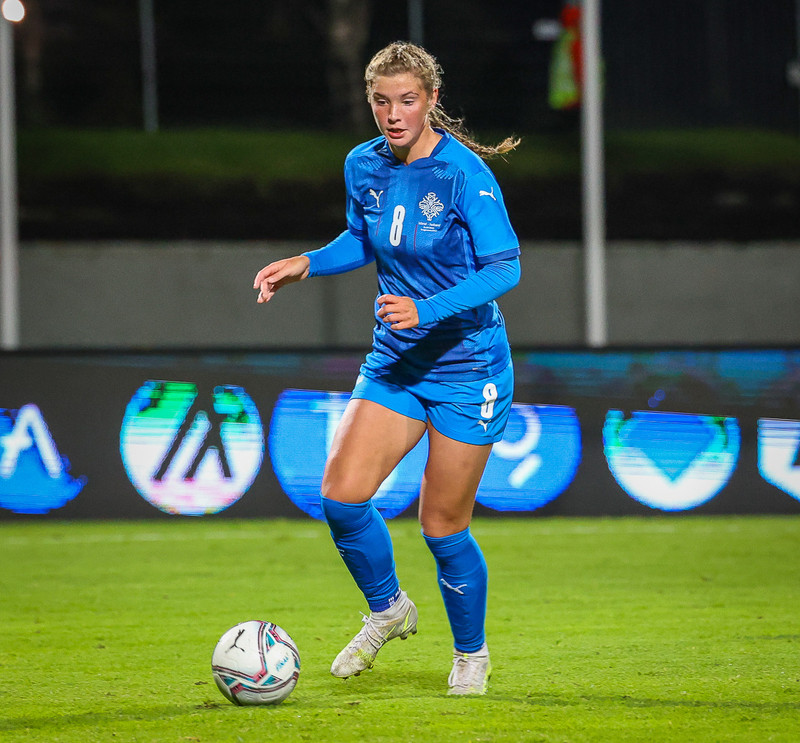 Myndaveisla 1: Holland vann Ísland á Laugardalsvelli
