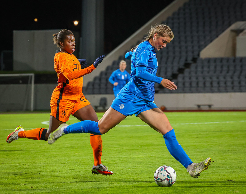 Myndaveisla 1: Holland vann Ísland á Laugardalsvelli