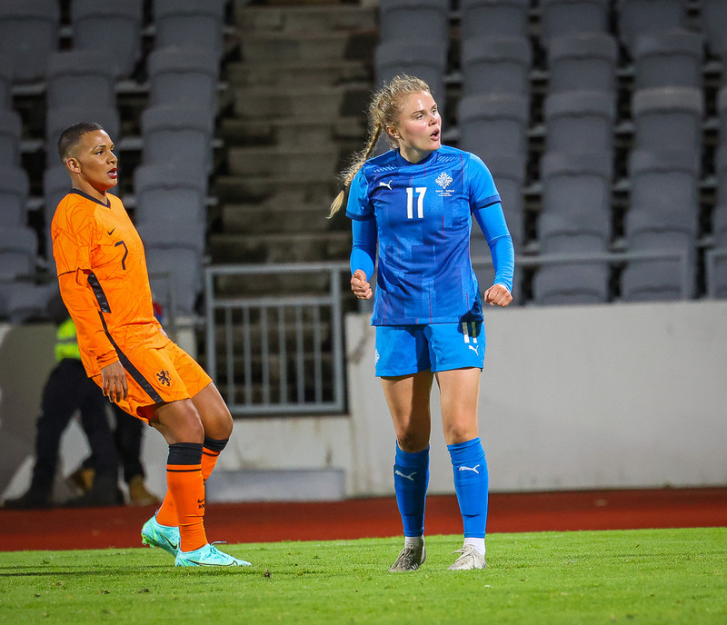 Myndaveisla 1: Holland vann Ísland á Laugardalsvelli