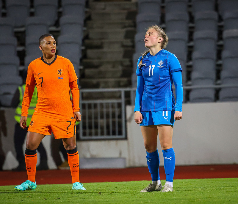 Myndaveisla 1: Holland vann Ísland á Laugardalsvelli