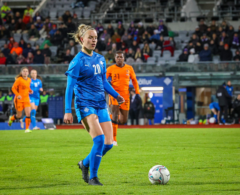 Myndaveisla 1: Holland vann Ísland á Laugardalsvelli