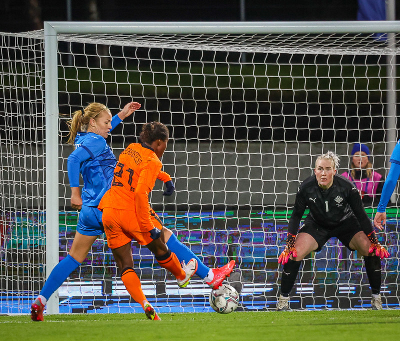 Myndaveisla 1: Holland vann Ísland á Laugardalsvelli