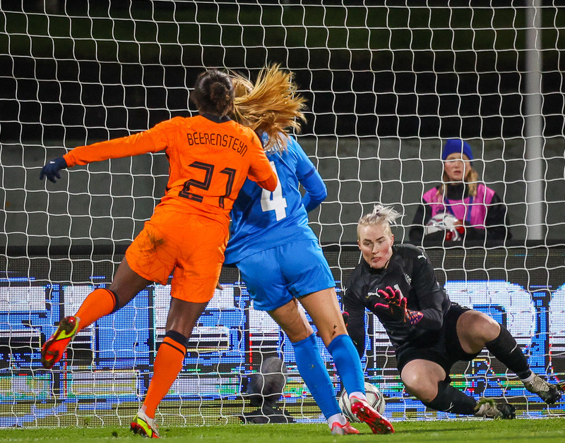 Myndaveisla 1: Holland vann Ísland á Laugardalsvelli