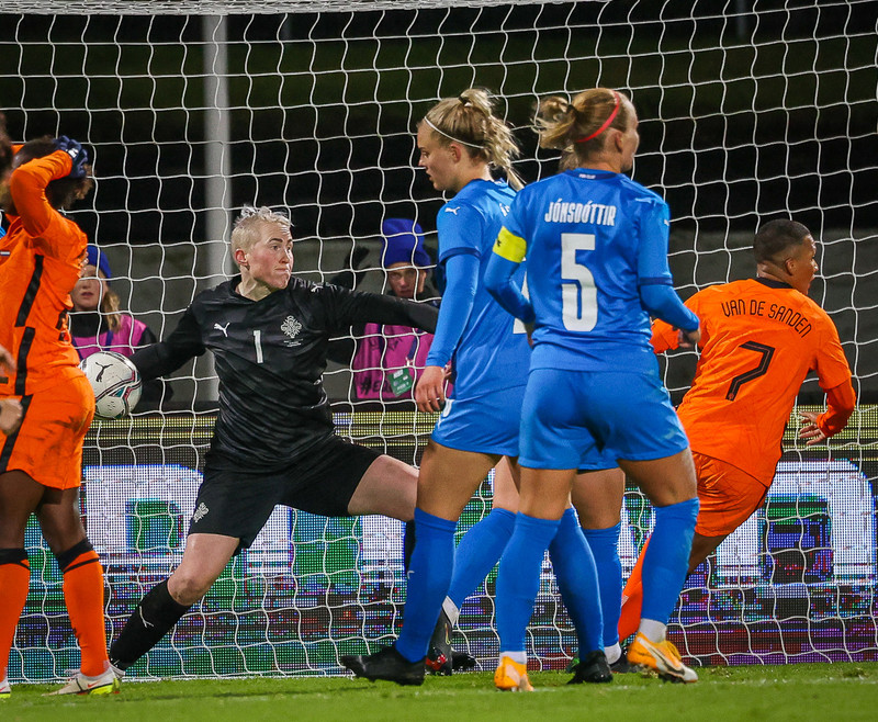 Myndaveisla 1: Holland vann Ísland á Laugardalsvelli