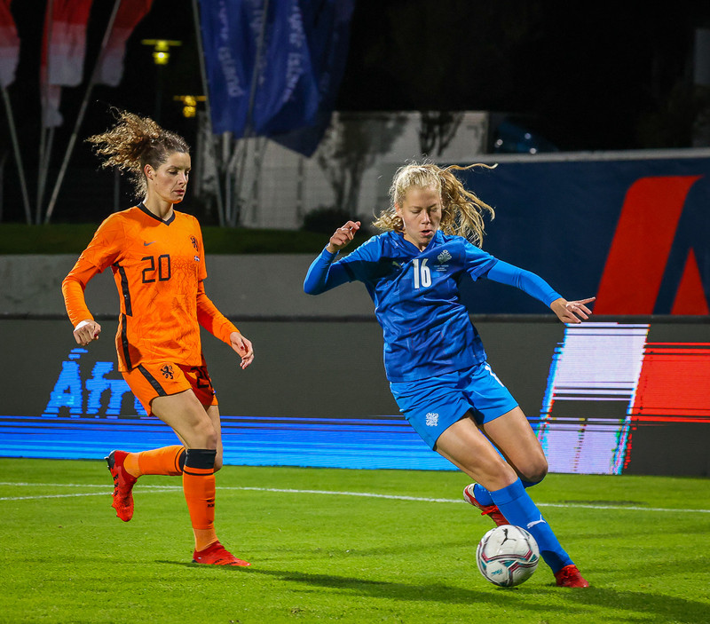 Myndaveisla 1: Holland vann Ísland á Laugardalsvelli