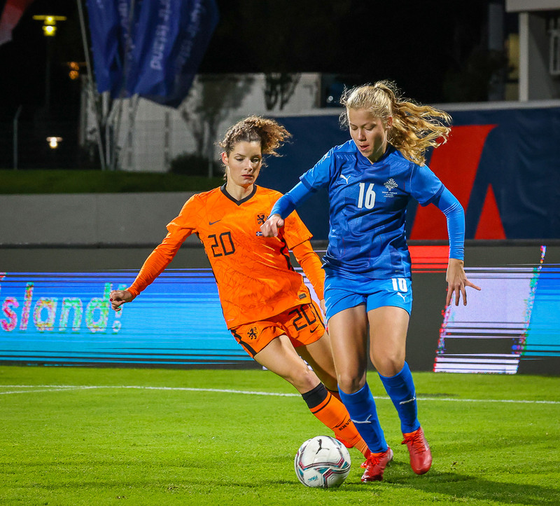Myndaveisla 1: Holland vann Ísland á Laugardalsvelli
