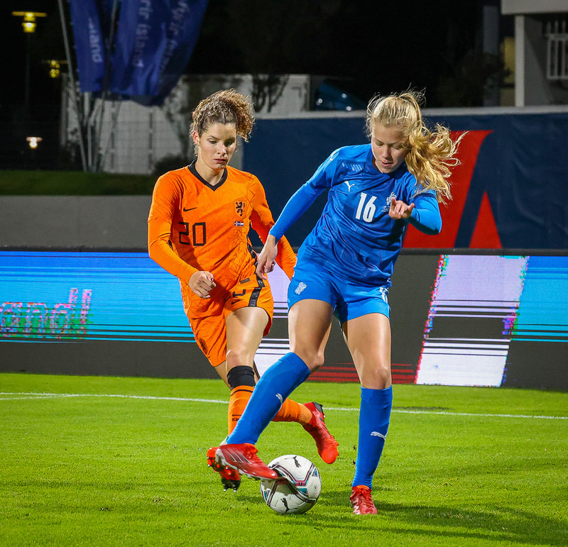 Myndaveisla 1: Holland vann Ísland á Laugardalsvelli