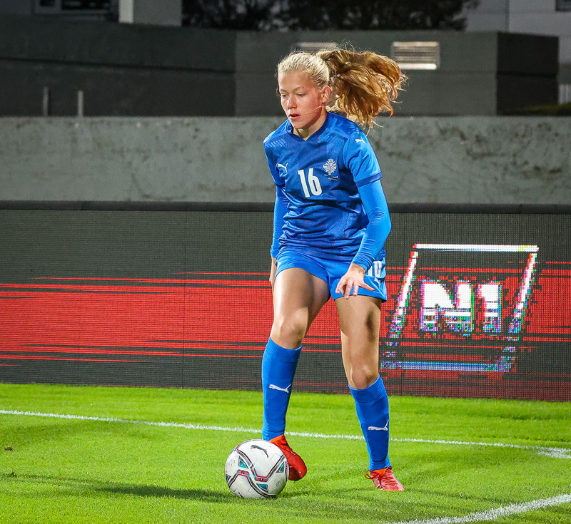 Myndaveisla 1: Holland vann Ísland á Laugardalsvelli