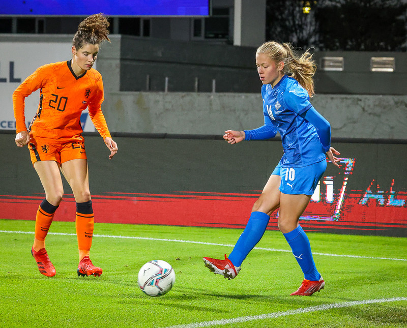 Myndaveisla 1: Holland vann Ísland á Laugardalsvelli
