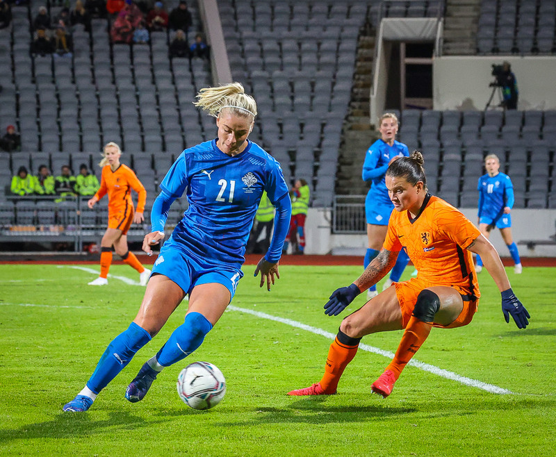 Myndaveisla 1: Holland vann Ísland á Laugardalsvelli
