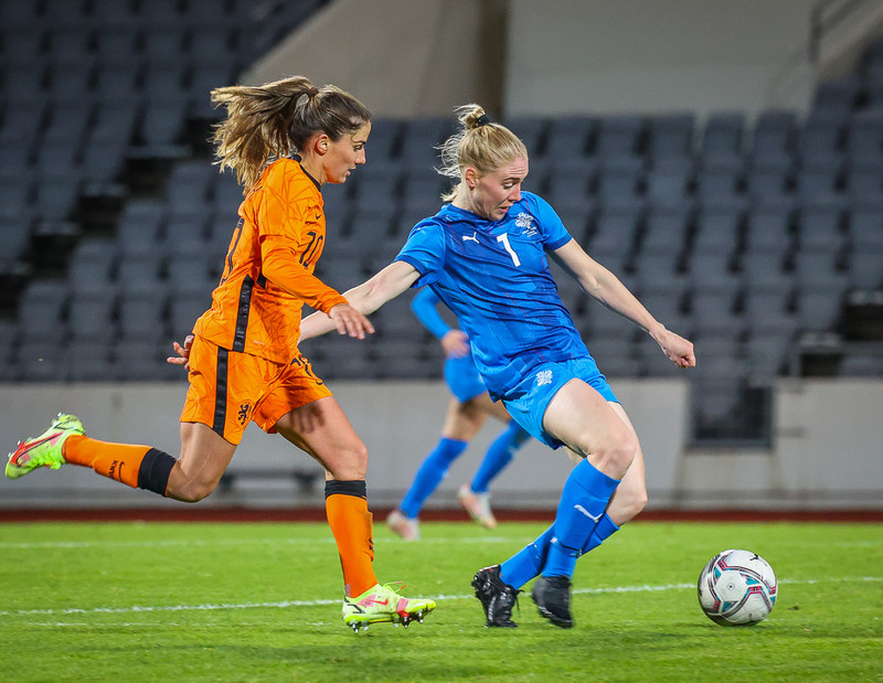 Myndaveisla 1: Holland vann Ísland á Laugardalsvelli
