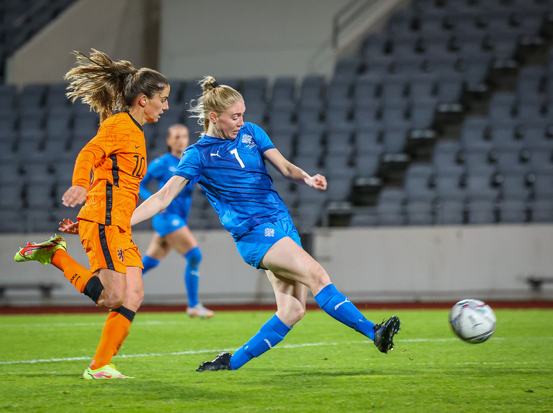 Myndaveisla 1: Holland vann Ísland á Laugardalsvelli
