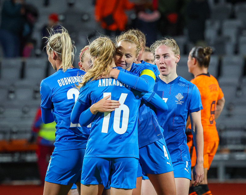 Myndaveisla 1: Holland vann Ísland á Laugardalsvelli