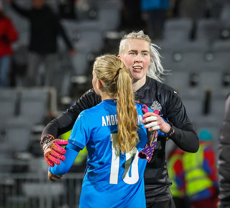 Myndaveisla 1: Holland vann Ísland á Laugardalsvelli