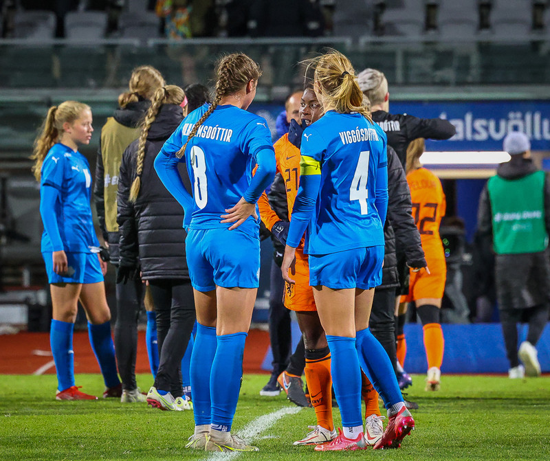 Myndaveisla 1: Holland vann Ísland á Laugardalsvelli