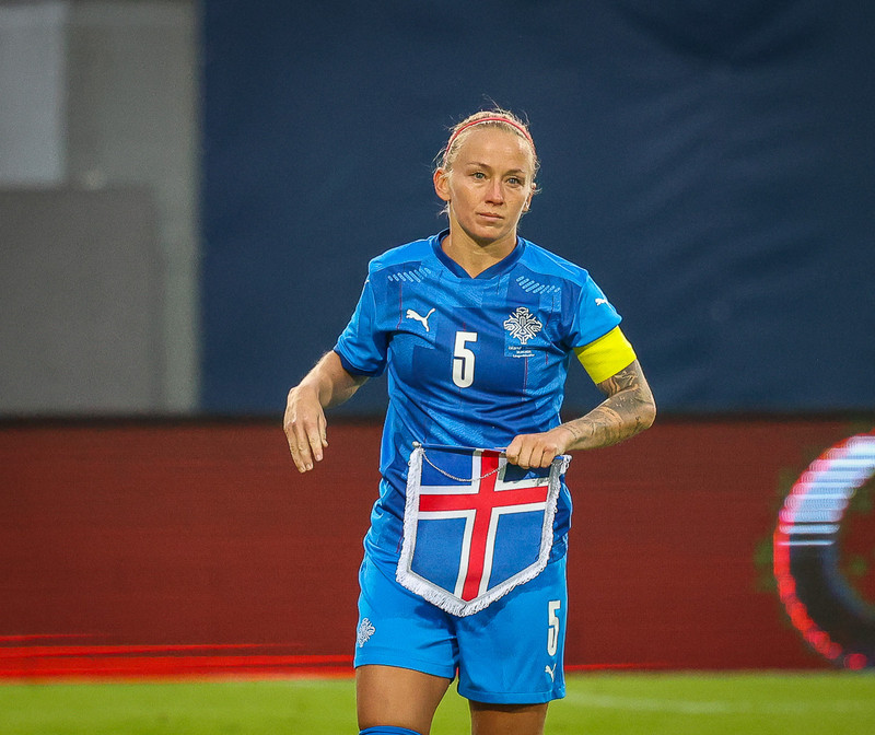 Myndaveisla 1: Holland vann Ísland á Laugardalsvelli