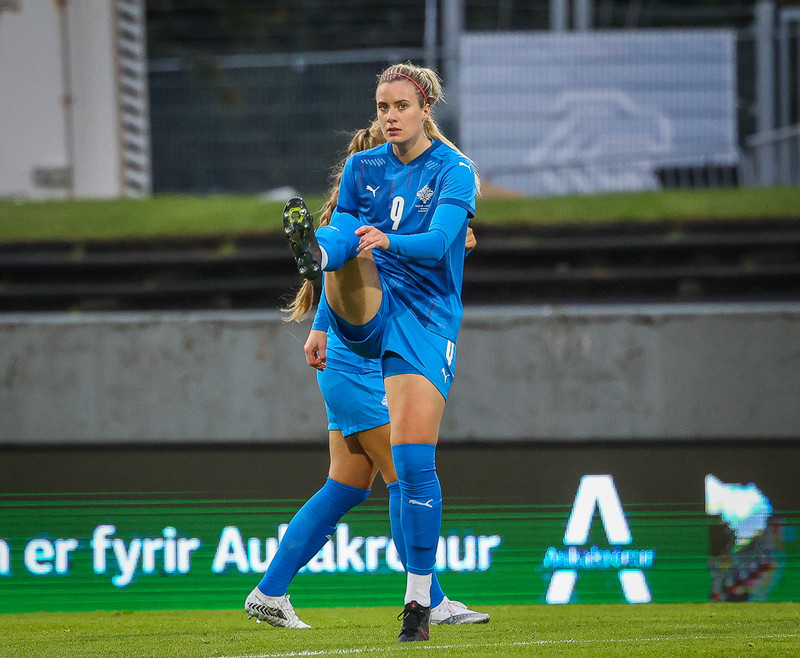 Myndaveisla 1: Holland vann Ísland á Laugardalsvelli