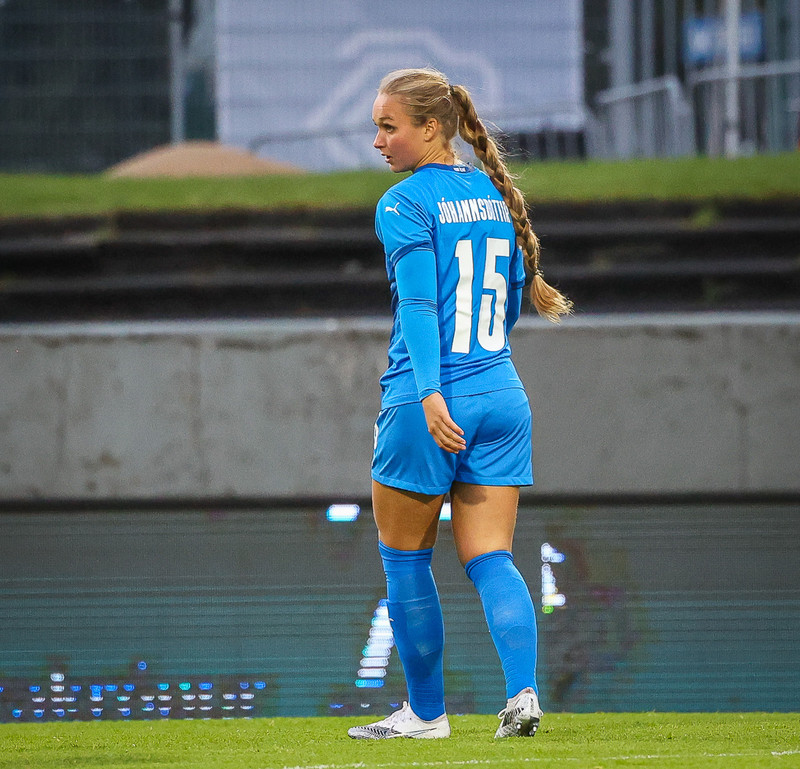 Myndaveisla 1: Holland vann Ísland á Laugardalsvelli